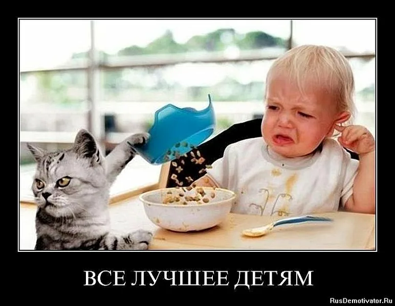 o4zlg81l.png.84e7afb3c3da1c708ccb643f57734ad2.png