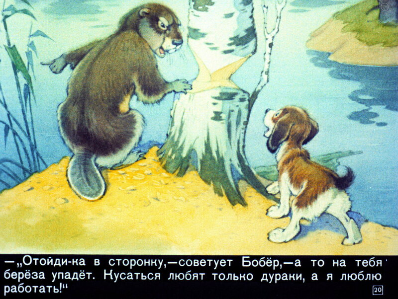 403962b94907.thumb.jpg.fce51efe98bf9cc40e9a249890c8dbe8.jpg