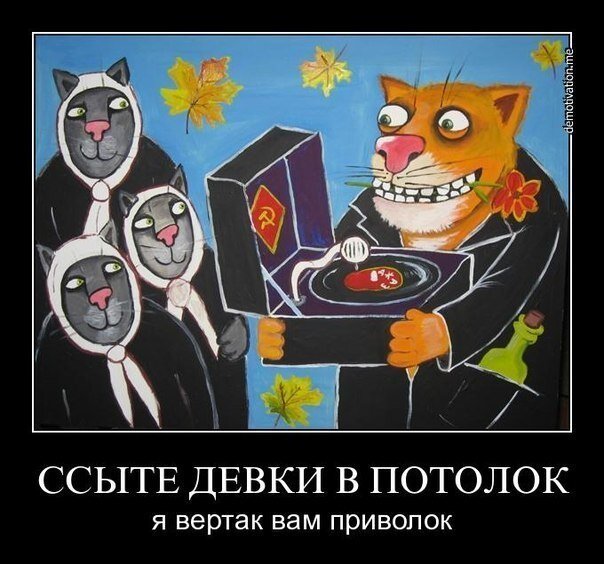 image.jpeg.411d6e7e55e2c9e65a3491cb7813d32c.jpeg