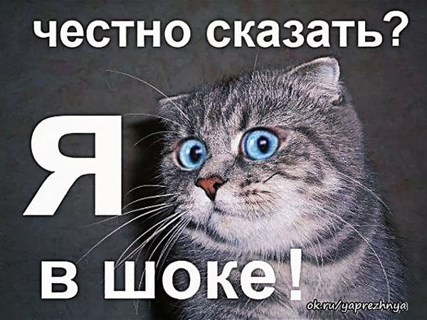 image.png.9753f69e939a62ef4e5da00bad2e2663.png