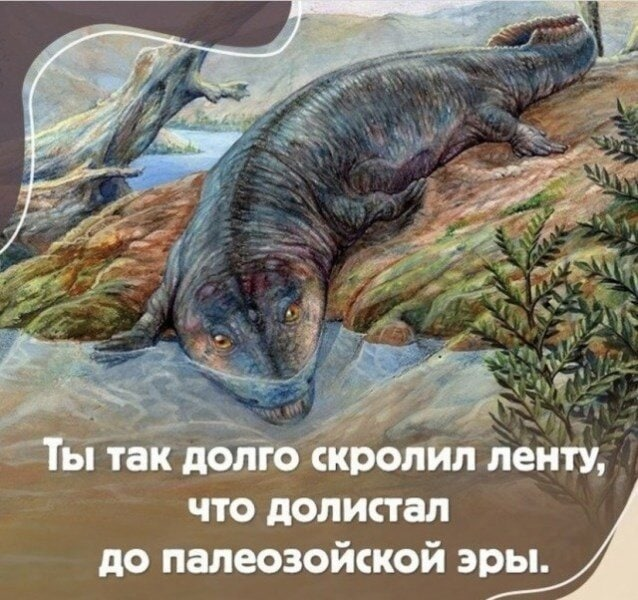 image.png.a165a63dcdd96ee313e24eefa0101f76.png