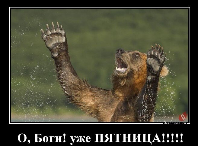 image.png.aeecf7df50c6454ce0c5b183a656c402.png