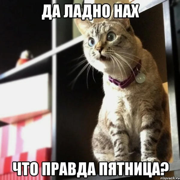 68j31m1q.thumb.png.585151665c0041e6119e4a59c3b248ae.png