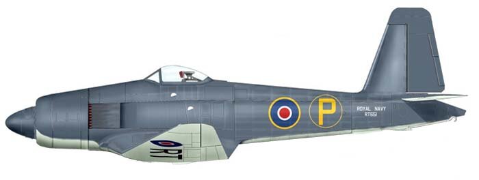 Firecrest-c1.jpg.cb2e39e47be8ebdbc2ec53782a9f8813.jpg
