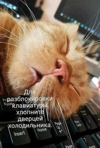image.thumb.png.d6ef4baa4e79a942fb66d20fccb34d5c.png