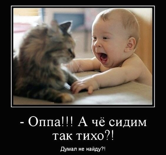 image.png.8ed7479b117b036ce2f5455f63506cf7.png