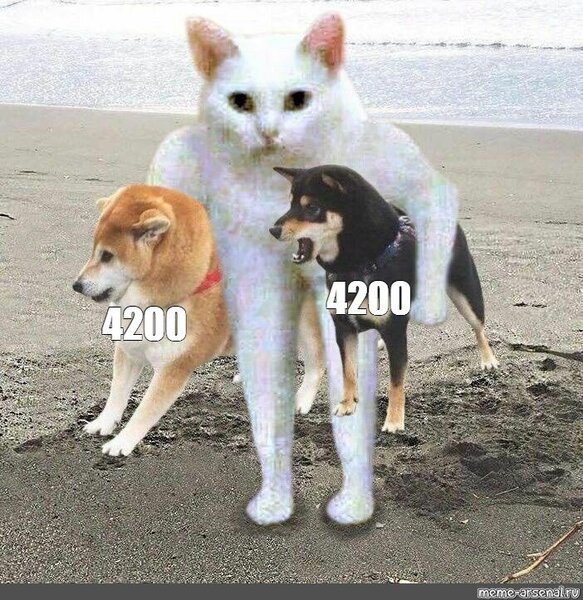 c239d2b045559d3c6214669e861b6ecd.jpg
