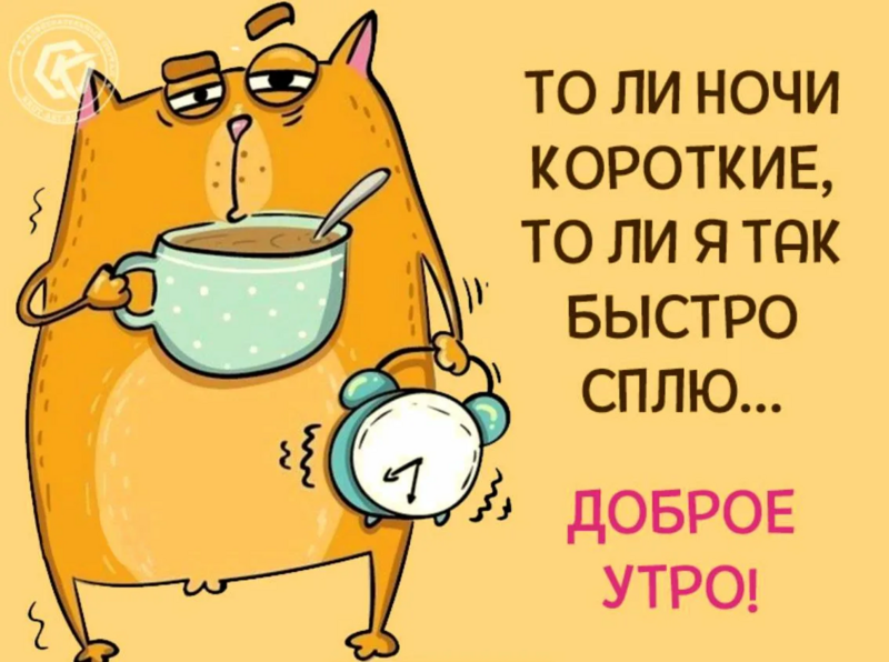 image.thumb.png.162f50f28f7775bf061c9b9b64cdaa48.png