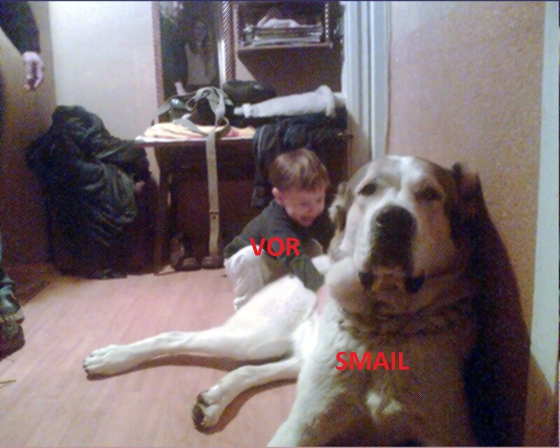 S & V.jpg