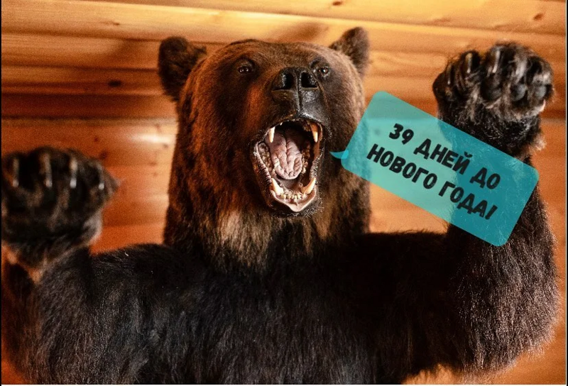ak1iviaz.thumb.png.cde7d8c9f6160a36cb238b963fc08b93.png