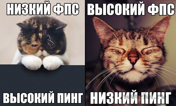 1459661118_.jpg.ec60b5890a423a305eabae9540aa223f.jpg