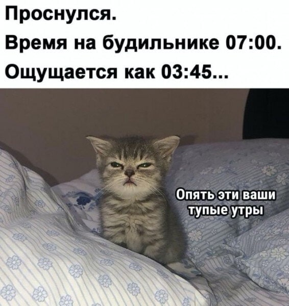 image.png.d3d0c71ce6a0288600e421d39f3914f6.png