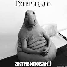 image.jpeg.ef7ede3c05e2eb25c4d8ef778497ab22.jpeg