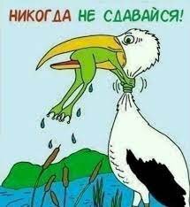 image.jpeg.33d1688f6a8de2dc938001174c355ae7.jpeg