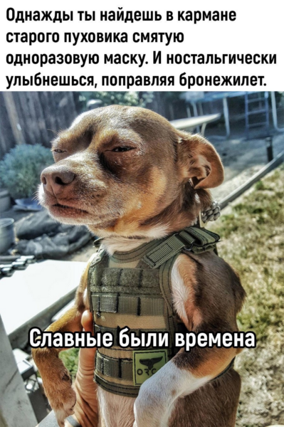 image.thumb.png.2ea0c9d3222e763b8fb2cf5f4f7df90f.png