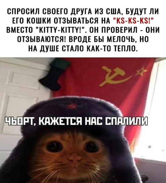 image.thumb.png.3e20b527301b69d0924028f94abd6300.png