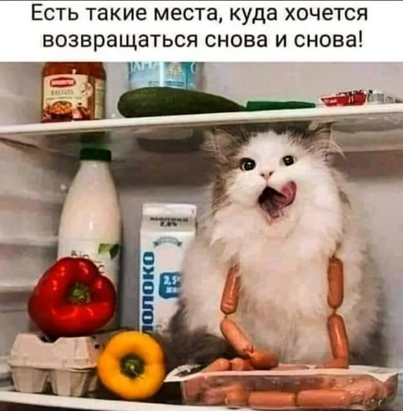 image.png.f39597ecf9c58b43613e66cacdeb5990.png