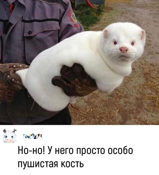 image.thumb.png.06addab03bd5577a00d91b5cbb5f23ec.png