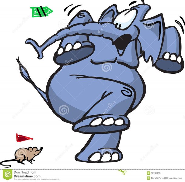 erschrockener-elefant-10781413.jpg