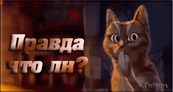 0_164130_9c668ca9_orig.gif.61fbcd2d85d0105571e38e7e50dbe0e1.gif