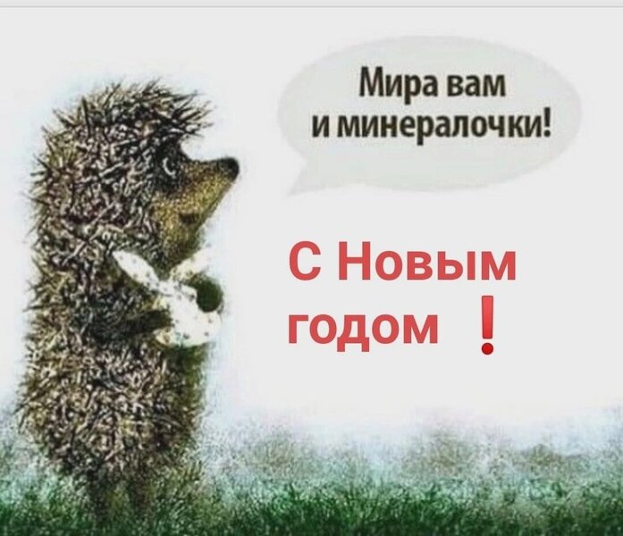 45.thumb.jpg.b8021ab4b6e037d115fb3459b7dbdd6e.jpg