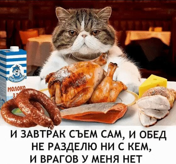 image.png.f6bfa01a7ea38c93f03c46022bb84111.png