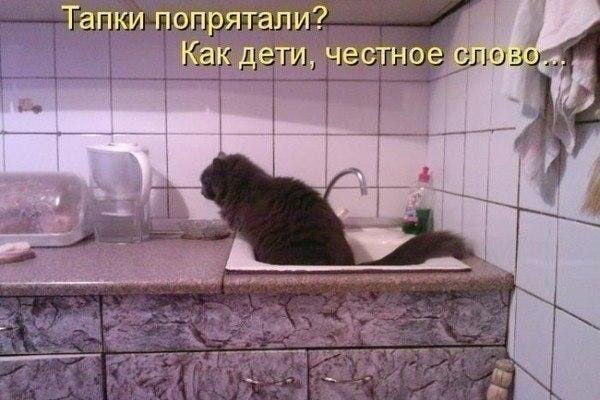 image.png.f618f82148b8833249d7d3ce15727a3d.png