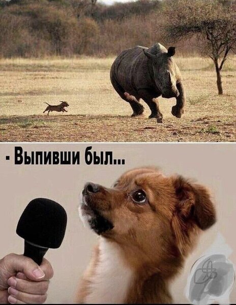 37d09dc8e99e163de3d8f4183748c020.thumb.jpg.ac5e3f9c56f9ee19f16ae3a58907f171.jpg
