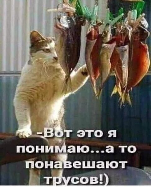 7640fe4acdc560896fb840c8825f13d2.thumb.jpg.987d3eefbc5c0a4af55b683471356c94.jpg