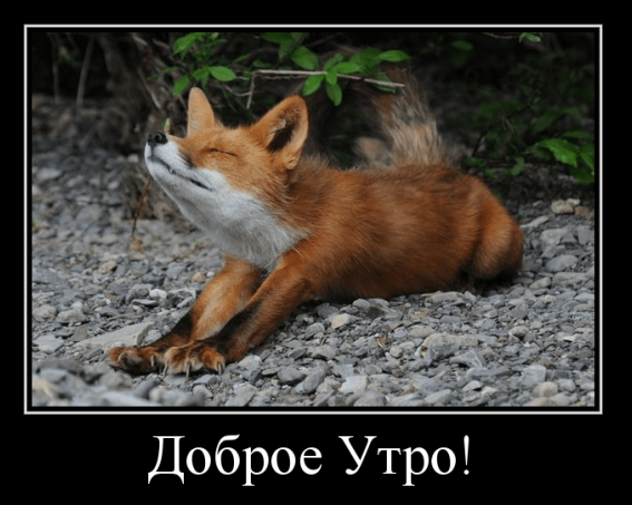 image.png.04b913492bce57b1162b5ba3bfc24af4.png