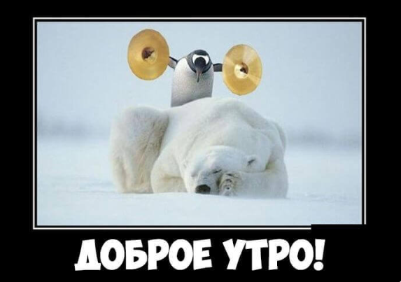 image.png.b136bfc0b89ff3c834a990df844ab709.png