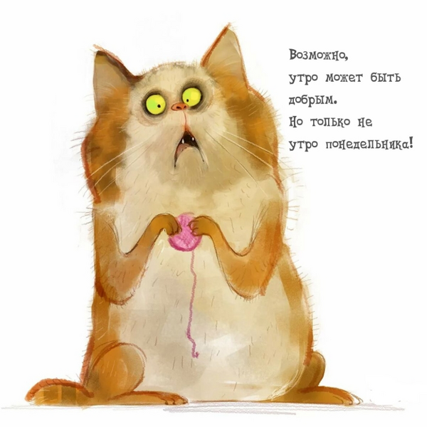 image.thumb.png.9231cfe2ee6b561c00a40ab6f204fbef.png
