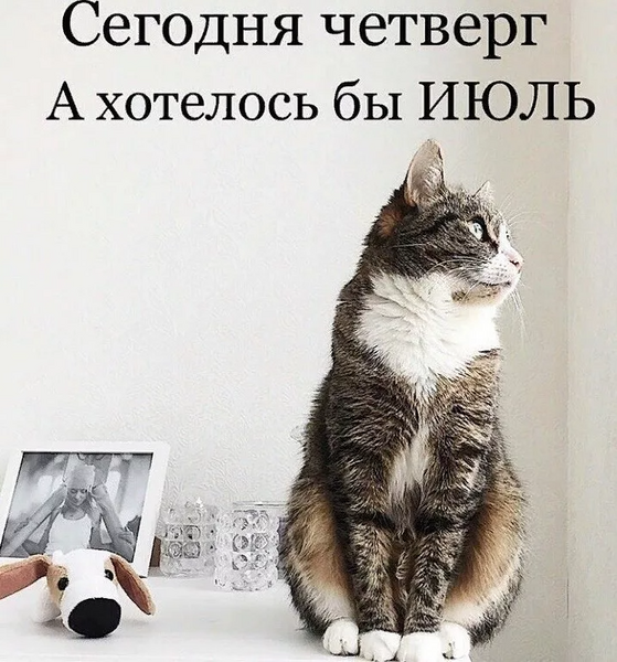 image.thumb.png.9de6d48c24a43686f9ec958305bff8e5.png