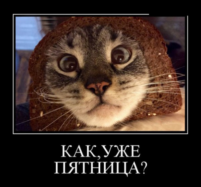 image.thumb.png.a84654e6a82d197ed1968b91082a4319.png