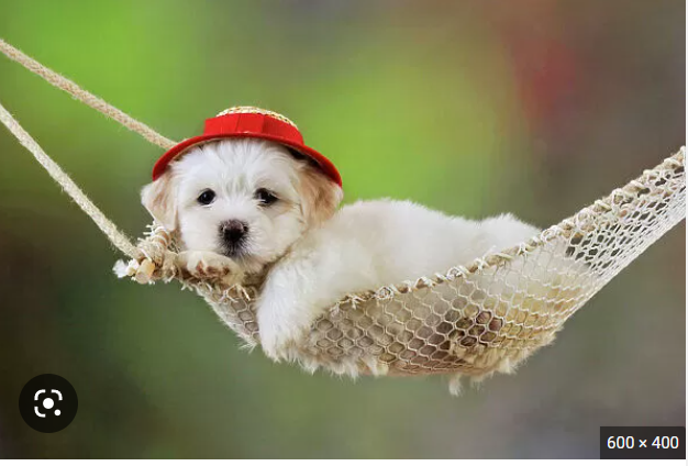 image.png.12958d8d03e57875c430b03a05dc2fb7.png