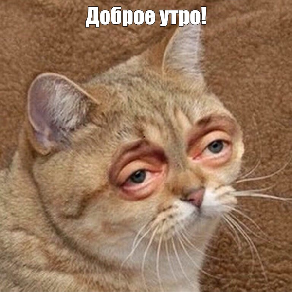 image.thumb.png.38f228b806150b81761237f999381f67.png