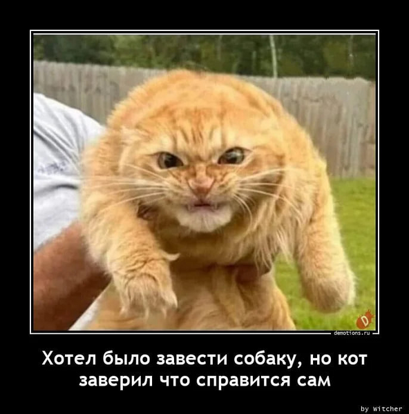 image.thumb.png.54edd5b3b94095b4e0301be3b137d96e.png