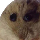 Sayuhika