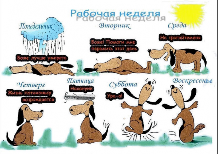 9-730x516.png.4acb5edfbf9e4e6a0e10bdbabddc2fa9.png