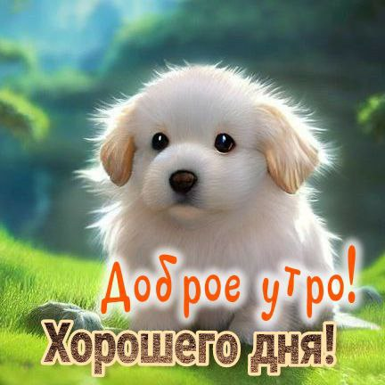 image.png.0815ebce7e07ba56e3c17631e579d1a3.png