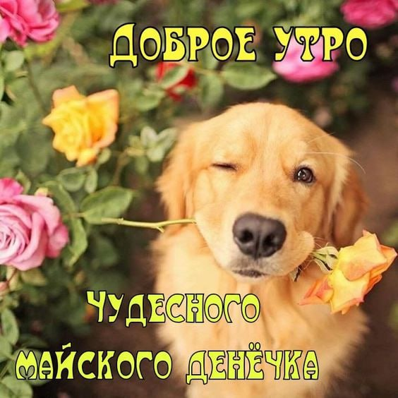 image.png.323851f4539c4627c2ab225aa6bef407.png