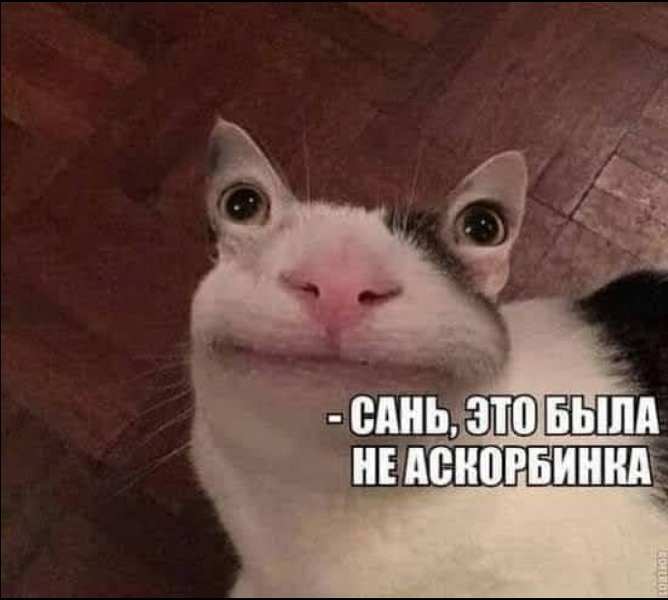image.thumb.png.8b04318407bd1f49eccd1e4436a07db4.png
