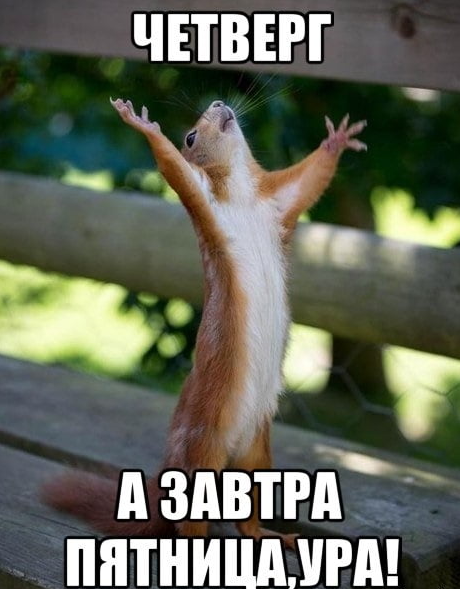 image.png.a953106624fff60d4cedb5f71297de25.png