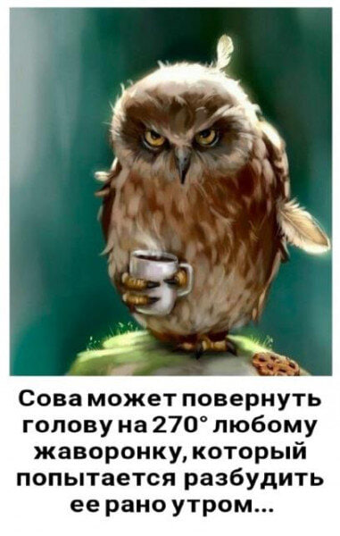image.png.dd82882633d49714e52ab98f9916990e.png