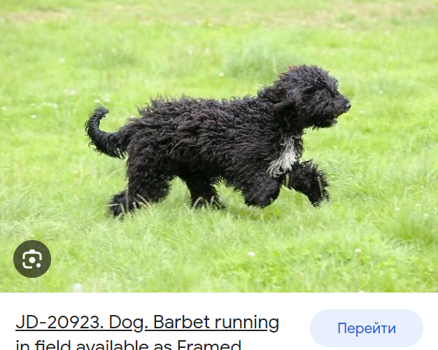 image.png.cd5c81652264ec99d964348c1ba970f0.png