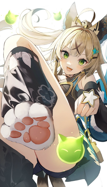 image.thumb.png.188ec3059403cdc49b5bbcb562ec6c0c.png