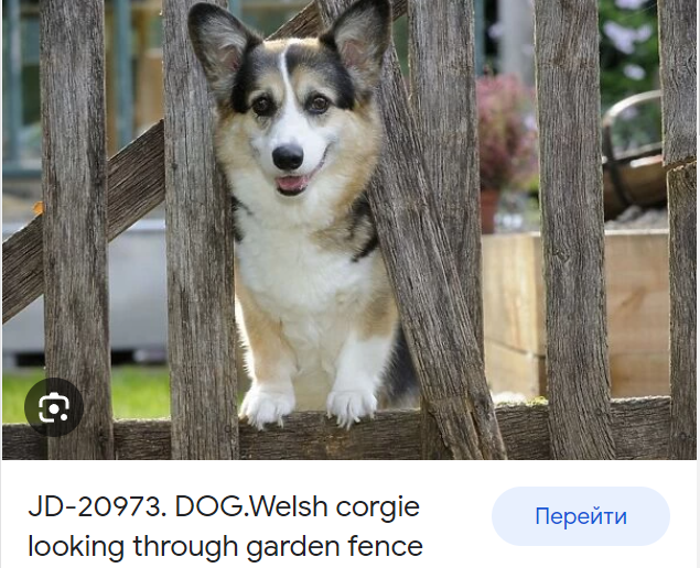 image.png.70843b571f045fb59440db3d0438f463.png