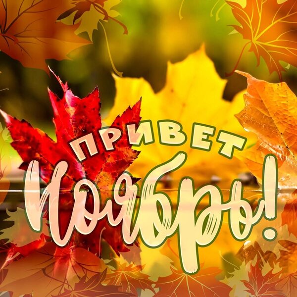 WrPFV.thumb.jpg.affd1278b2300343996c43cc67d6417e.jpg