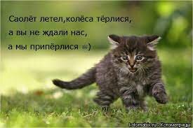 image.jpeg.4d7b0f119177828a0e6c0bd3a2777c9b.jpeg