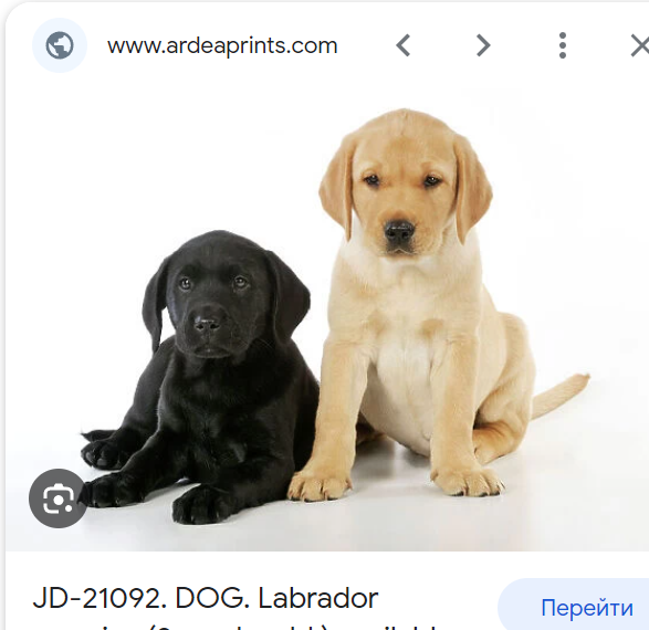 image.png.d98f929cb835698fcd28bc9b0f9fd138.png